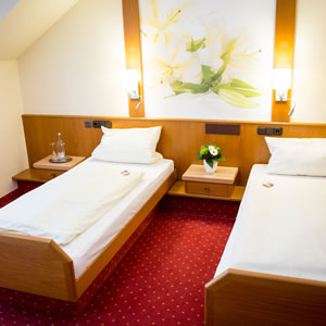 Hotel Gasthof Harth Fulda