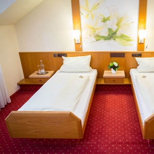 Hotel Gasthof Harth Fulda